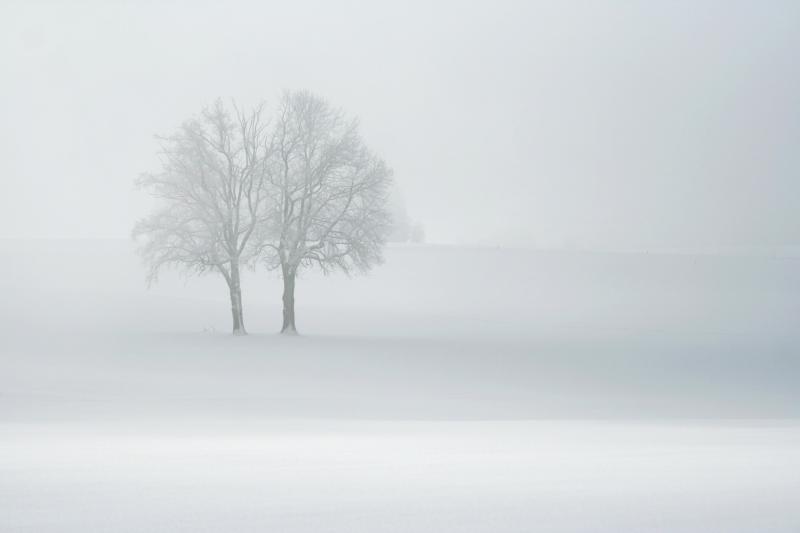 paysage brumeux - © Gabriel Pochon