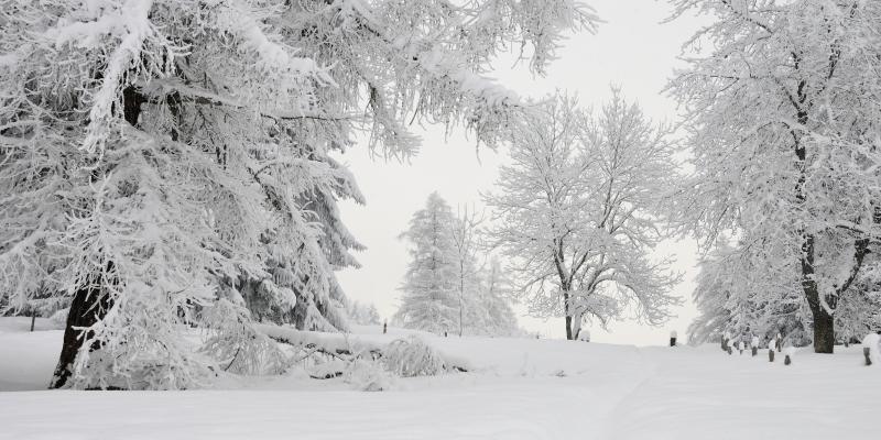 Paysage hivernal à Gryon - © Eric Dragesco