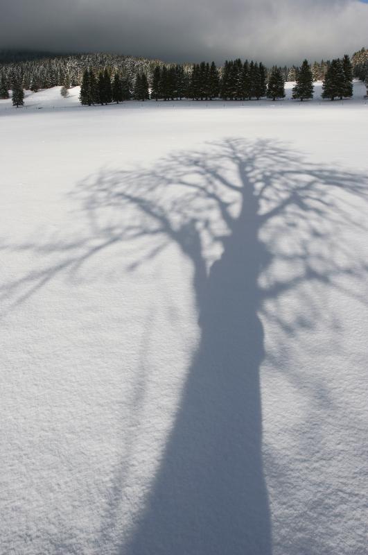 Ombre de l'hiver - © Gilbert Hayoz